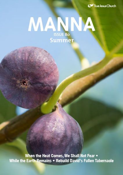 Manna 80 Editorial: The Times and the Seasons